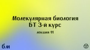 Молекулярная биология(БТ), лекция 11, Пупов Д. В., 7.04.2026
