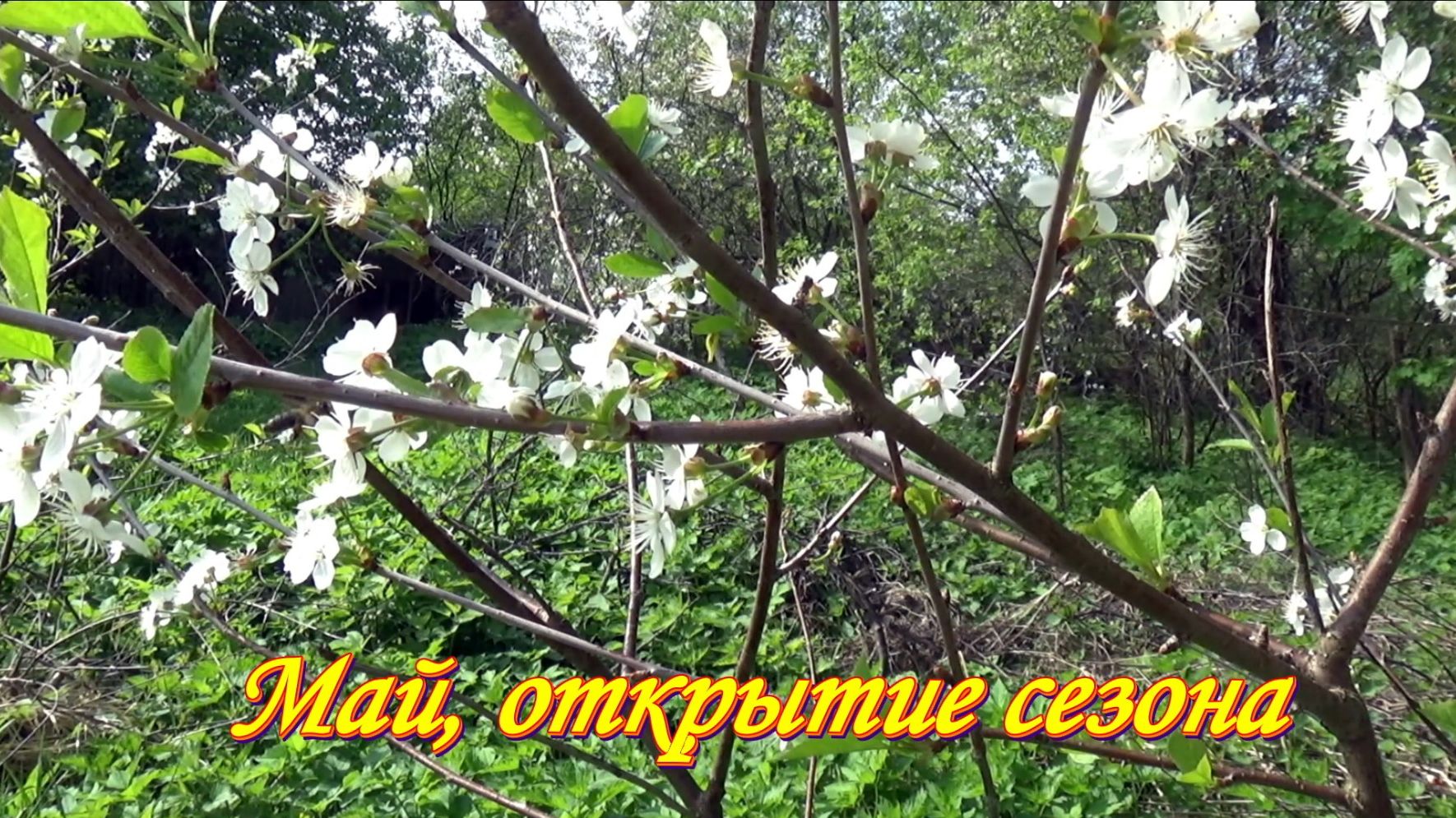 Май, огород