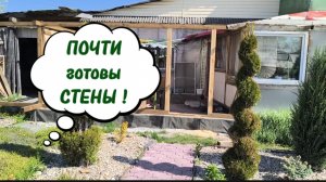 ЦВЕТОЧНАЯ КОМНАТА 2.0 ВЫПУСК 2. 18-05-2026