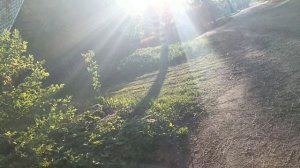 Гундю
