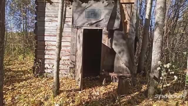 Ещё один схрон металла_Каркасная изба в лесу_Накопали полный прицеп железа Часть-1 #копметаллавлесу