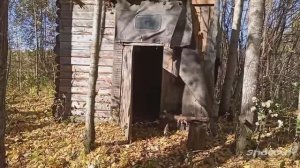 Ещё один схрон металла_Каркасная изба в лесу_Накопали полный прицеп железа Часть-1 #копметаллавлесу