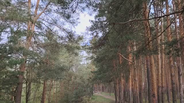 Школьная форма и трудовое воспитание