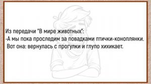 #анекдоты #юмор #Вирус #Тренды #Развлечения #Смешно #смешныеанекдоты