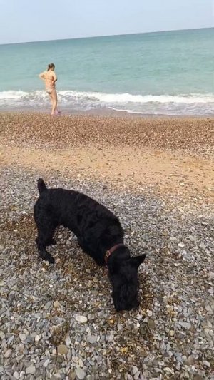 Video.Guru_20240817_231021273