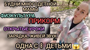 Школа, прикорм, дети, групповая зарядка. Будни многодетной мамы.