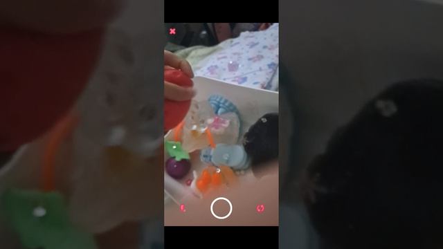 уборка и перестановка в домика табор сквишей ❤️
