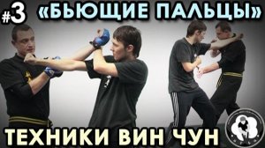 «Бьющие пальцы» Вин Чун – 3.