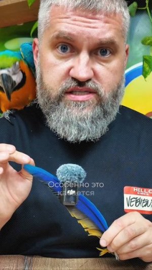 Попугай на плече — это не всегда “любовь” и не всегда хорошая привычка. 🦜