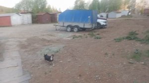 Прогулялись с Соней