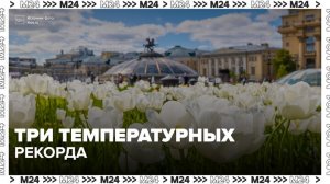 Три температурных рекорда обещают в Москве до конца недели