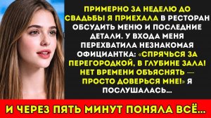 «Спрячься сейчас