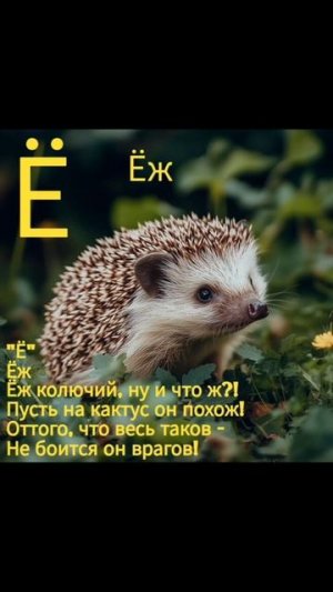 Буква Ё Ёж
