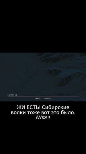 БЕЗУМНО МОЖНО БЫТЬ ПЕРВЫМ ◬ SNIPER: GHOST WARRIOR CONTRACTS