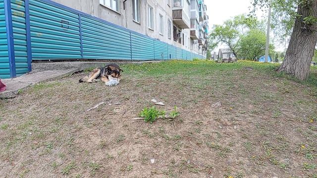 1000028182.mp4 смотреть онлайн