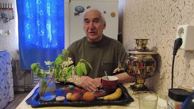 "Жизнь Пенсионера".. Комары уже Появились, а кого то Кровососы Не Любят смотреть онлайн