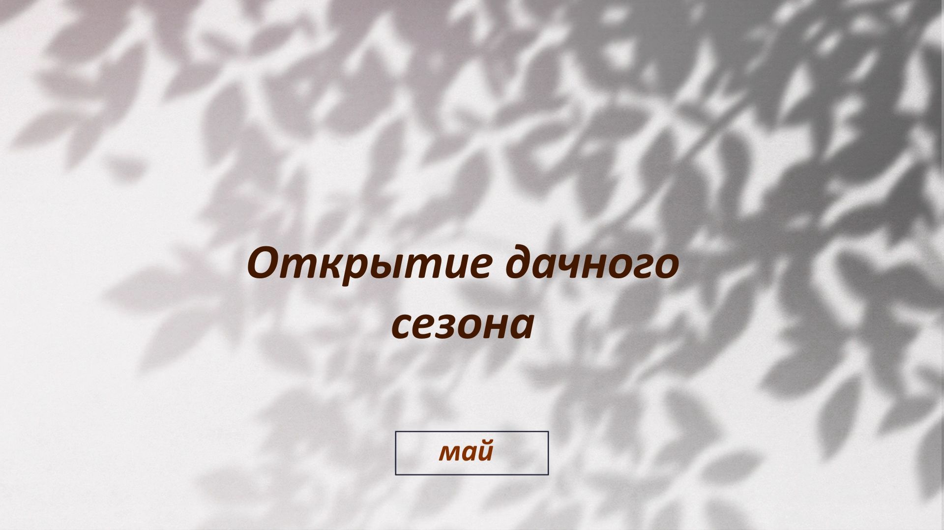 Дачный сезон открыт
