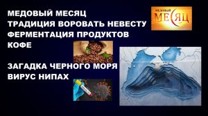 #МЕДОВЫЙ #МЕСЯЦ #ВОРОВАТЬ #НЕВЕСТУ #ФЕРМЕНТАЦИЯ  #КОФЕ #ЧЕРНОЕ #МОРЕ #КРЫМ  #ВИРУС #НИПАХ