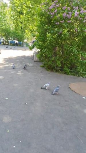 природа весной🏞️