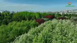 Начало эфира после профилактики (Илм ва Табиат HD (Таджикистан), 18.05.2026)