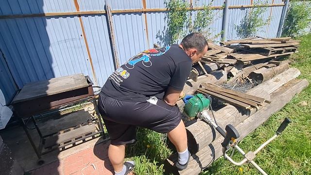 муж посадил помидоры,перец!смотрит свои владения