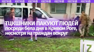 Крики пенсионерок и гудки водителей не помешали «людоловам» выполнять свой «долг»