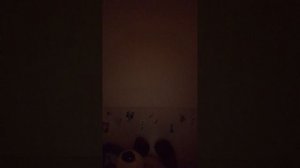 1000004944.mp4