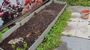 27-05-2026.Дача.Сажаю баклажаны и кабачки в грядку у парника.(16.05.-17.05.26.)