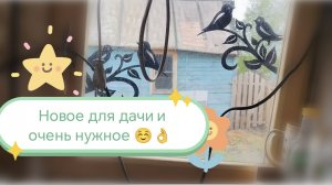 Дача моя любимая ☺️🩷
