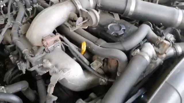 5561.mp4 смотреть онлайн