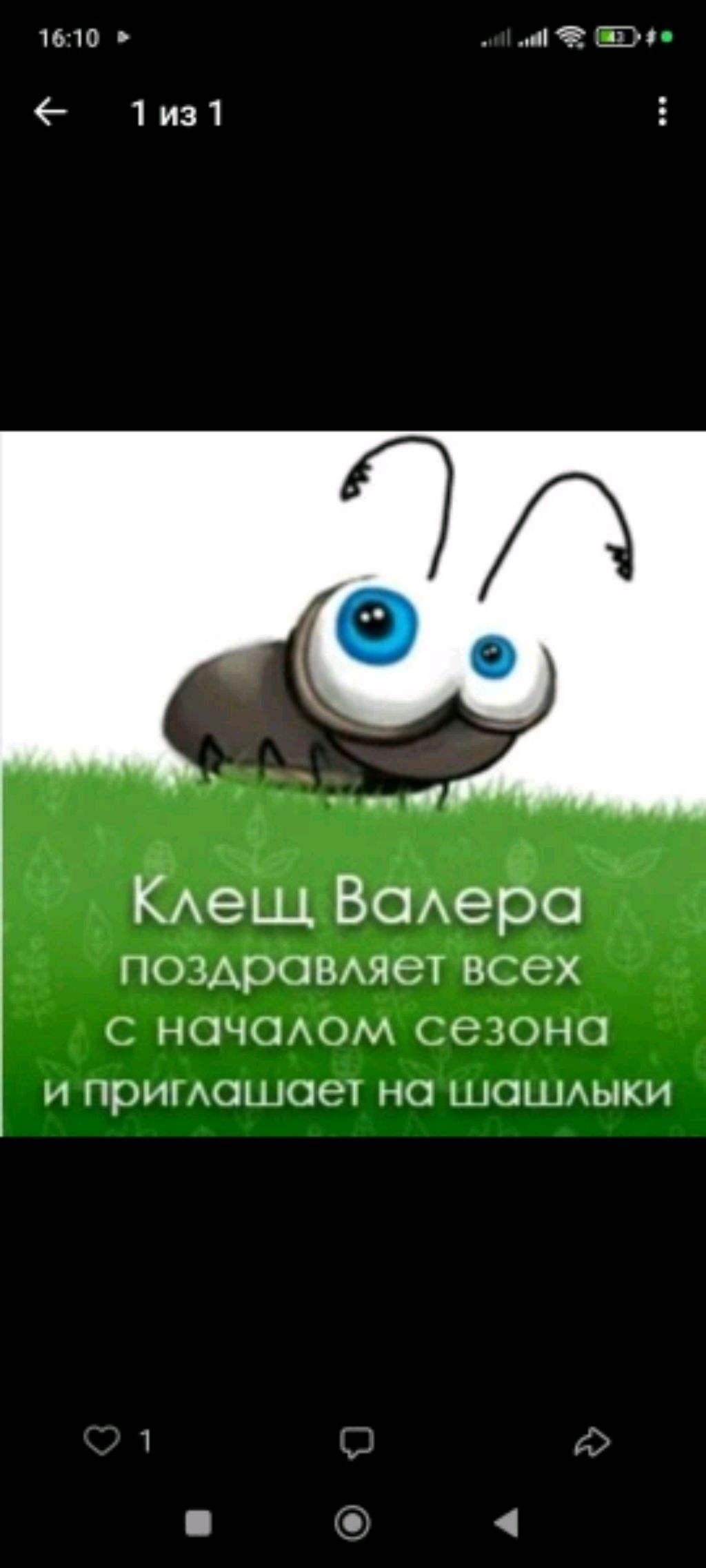 клещ аалера