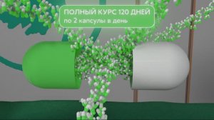 Инструкция: Инструкция: Карипаин капсулы № 60