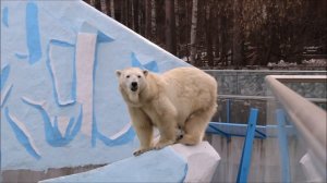 Герда с медвежонком сидят на камне и смотрят по сторонам 23.04.2026