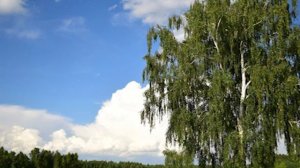 Поэзия блаженного Иоанна. Апологетика старости