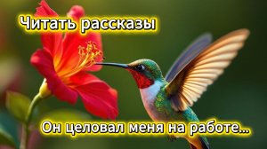 Читать рассказы: Он целовал меня на работе – история любви с женатым начальником | Домохозяйка