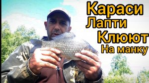 На Рыбалку  за карасём на утренней Зоре.