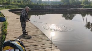 вип участок