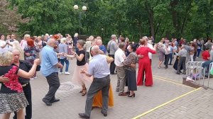 Розы алые...... 17.05.26 Гомель парк Луначарского 🥰💫