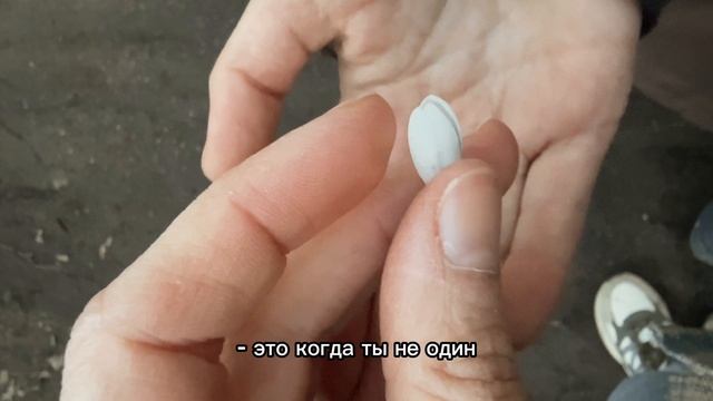 Екатерина Балашова Лучшее эмоциональное воздействие