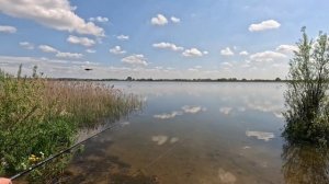 Петровичское водохранилище часть 3 #ActiveVibesBelarus #Минск #Беларусь #рыбалка #река