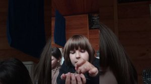 это очевидный обзор вкусняшек