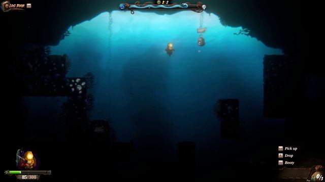 Pirates: Rogue's Fortune: Пираты бьются за сокровища
