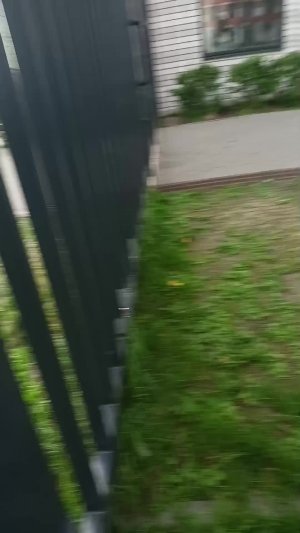 г