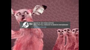 animated spoof music video numa cat ln wiggle major