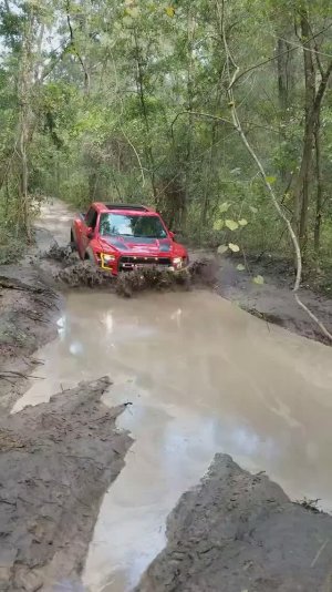 Грязевые ванны на Ford Raptor