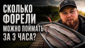 #56 ЖАРКАЯ РЫБАЛКА НА ФОРЕЛЬ. ОБЗОР ZEMEX 24 VIPER TROUT 622XUL. РК НАЛИМ.