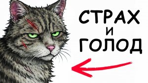 ТЫ - КОТ (И ЭТО ВСЯ ТВОЯ ЖИЗНЬ)