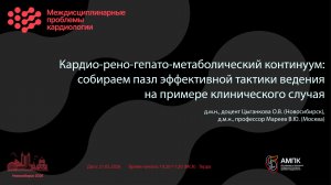 Кардио-рено-гепато-метаболический континуум: собираем пазл эффективной тактики ведения на примере...
