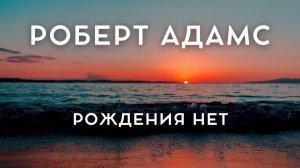 Роберт Адамс - РОЖДЕНИЯ НЕТ, NikOsho, аудиокнига