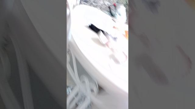 1000003734.mp4